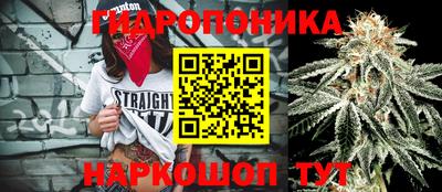 mdpv Новокубанск